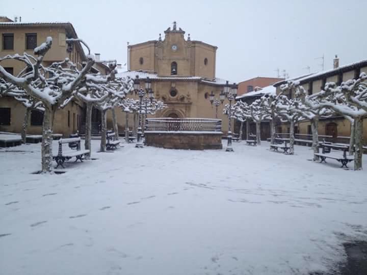 La Corchea Elciego